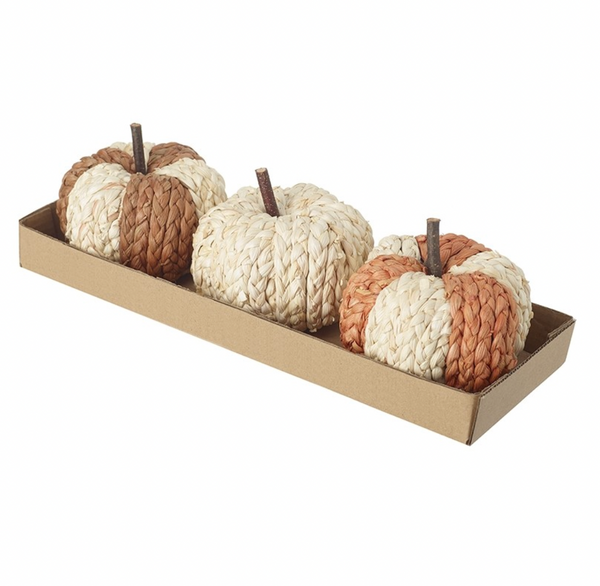 Cream & Orange Pumpkin Woven Set