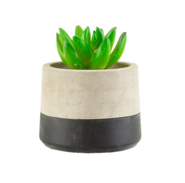 Black Dip Cement Planter - Perfectly Imperfect