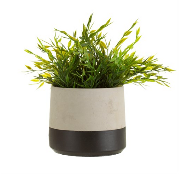 Black Dip Cement Planter - Perfectly Imperfect